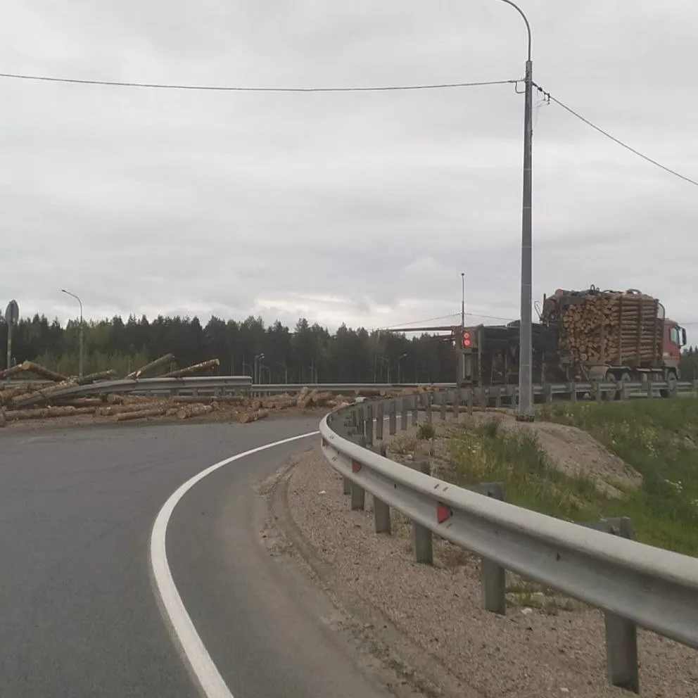 На развязке трассы Санкт‑Петербург — Мурманск перед Бесовцом прицеп с лесом опрокинулся; водители отмечают, что на этом участке аварии с лесовозами случаются регулярно из‑за скорости.