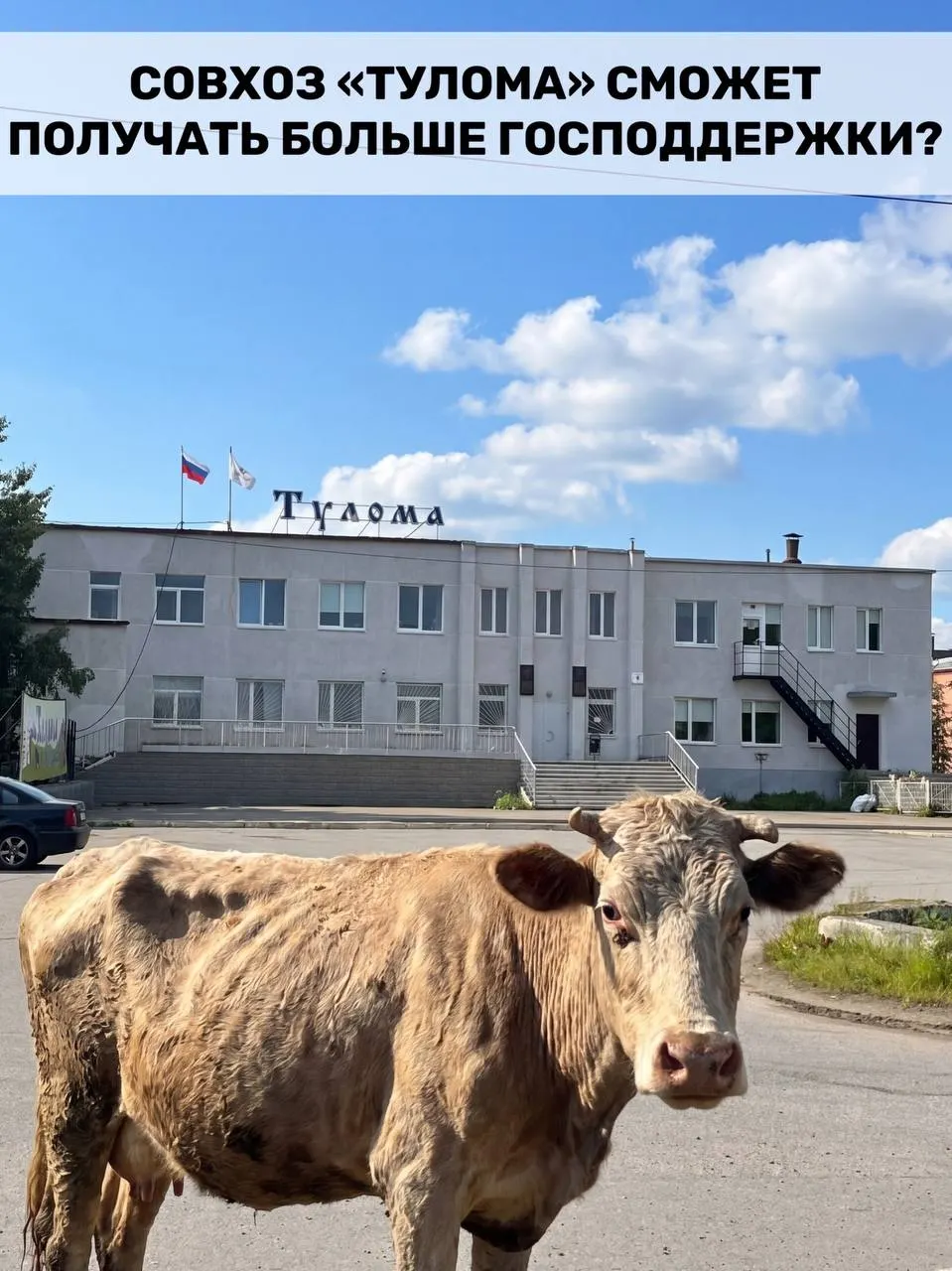 Федеральные правила теперь позволяют получать субсидии хозяйствам с долей государственной или муниципальной собственности свыше 25%. Для Мурманской области это может стать важной поддержкой, но кризис в отдельных совхозах вызывает сомнения, насколько вовремя и в полном объёме помощь дойдёт до предприятий.