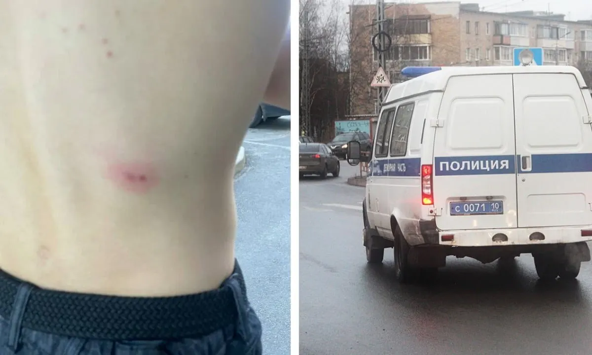 Днём 18 мая в районе дома на улице Гвардейской двое подростков стреляли из пневматического пистолета по прохожим; один подросток получил попадания в ногу и спину, кожа не пробита, остались синяки.