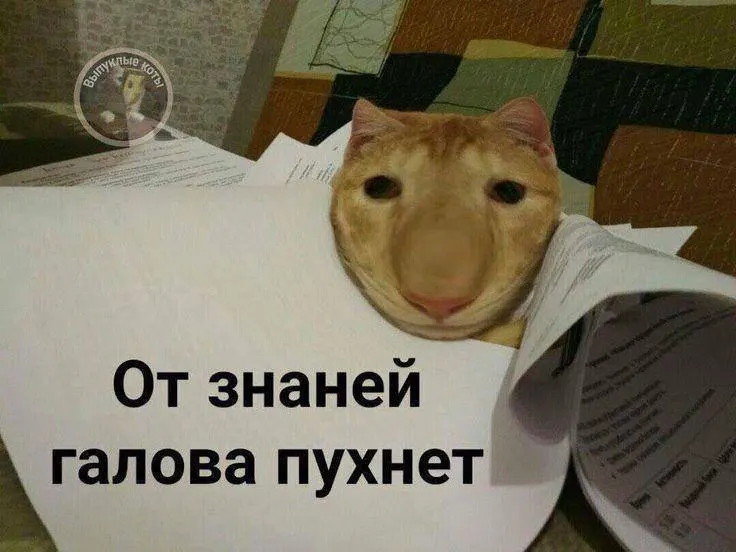 Министр спорта сообщил, что норматив по управлению небольшим дроном планируют опробовать в тестовом режиме в этом году, а с следующего года желающие по всей стране смогут получить знак ГТО; он даст до 10 баллов к результатам экзамена.