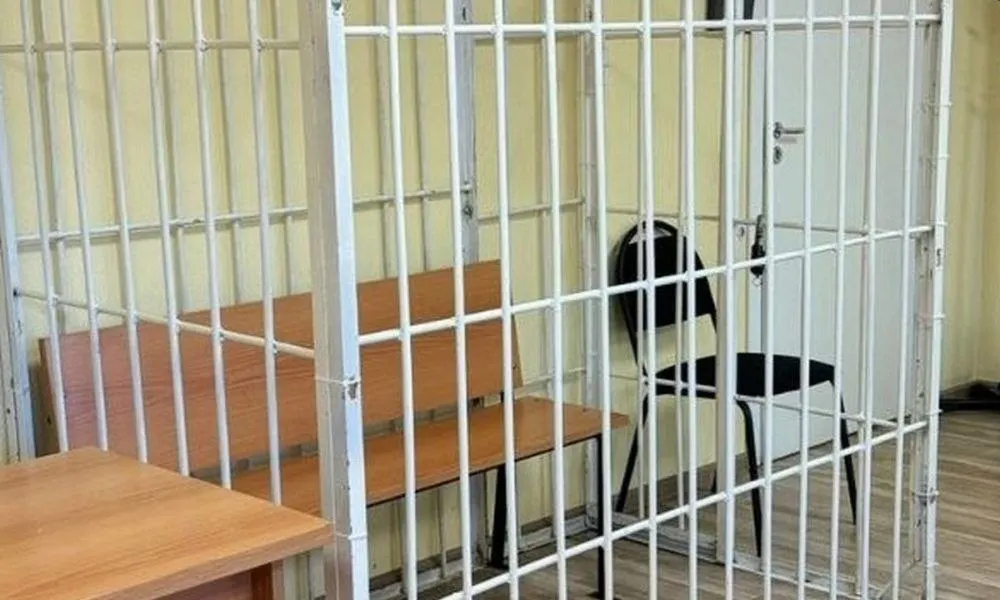 Пудожский районный суд заключил под стражу 17-летнего подростка, обвиняемого в изнасиловании несовершеннолетней. Ему избрана мера пресечения — арест на два месяца.