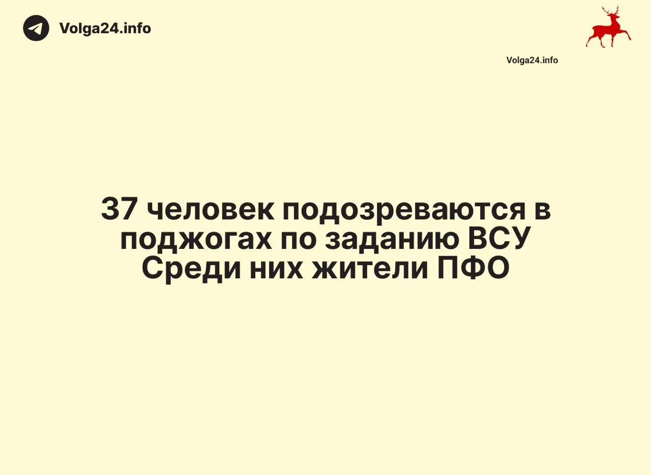 Операции прошли более чем в 30 регионах: у задержанных изъяли сим‑боксы и около 8 тысяч SIM‑карт, возбуждено уголовное дело по новым статьям УК РФ.