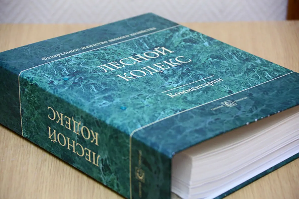 С момента принятия в 2006 году в Лесной кодекс внесли 79 пакетов поправок; эксперт считает, что документ нужно полностью пересмотреть и радикально упростить.