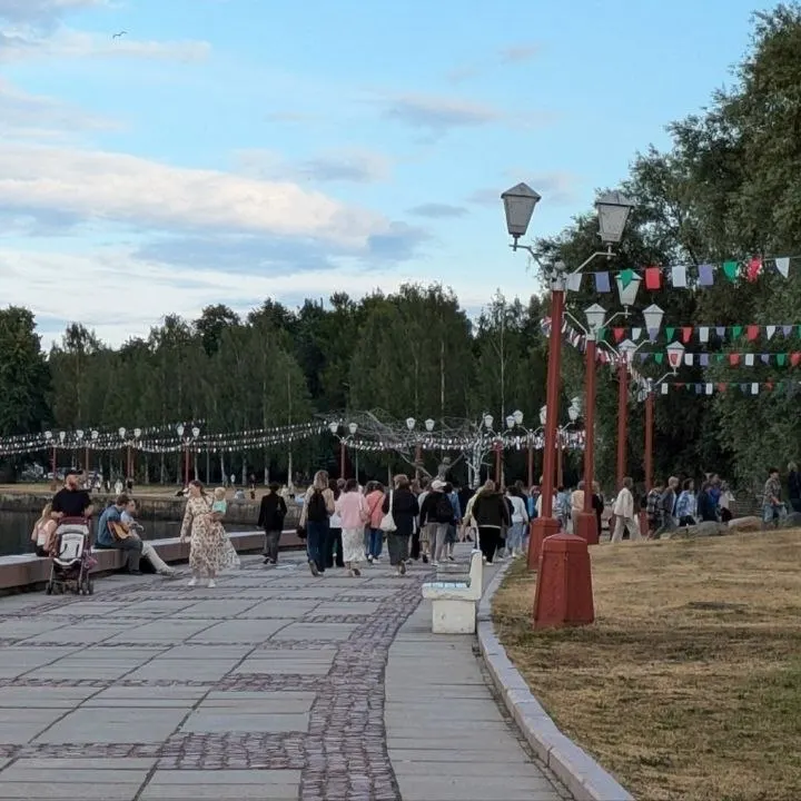 В&nbsp;Петрозаводске клещ с&nbsp;боррелиозом укусил 10‑летнего ребёнка на&nbsp;набережной