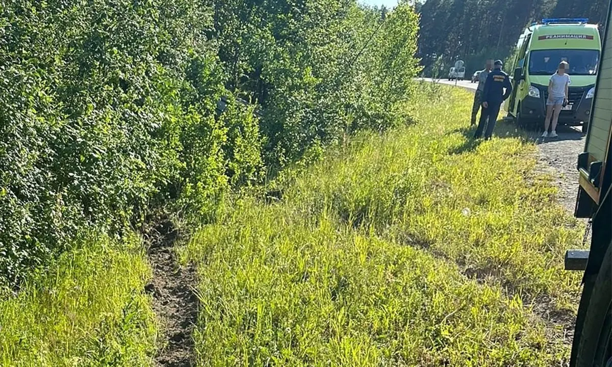В Пудожском районе на 536 км трассы А-119 автомобиль съехал в кювет и перевернулся. В аварии пострадали двое, среди них ребёнок, сообщили в МЧС Карелии.