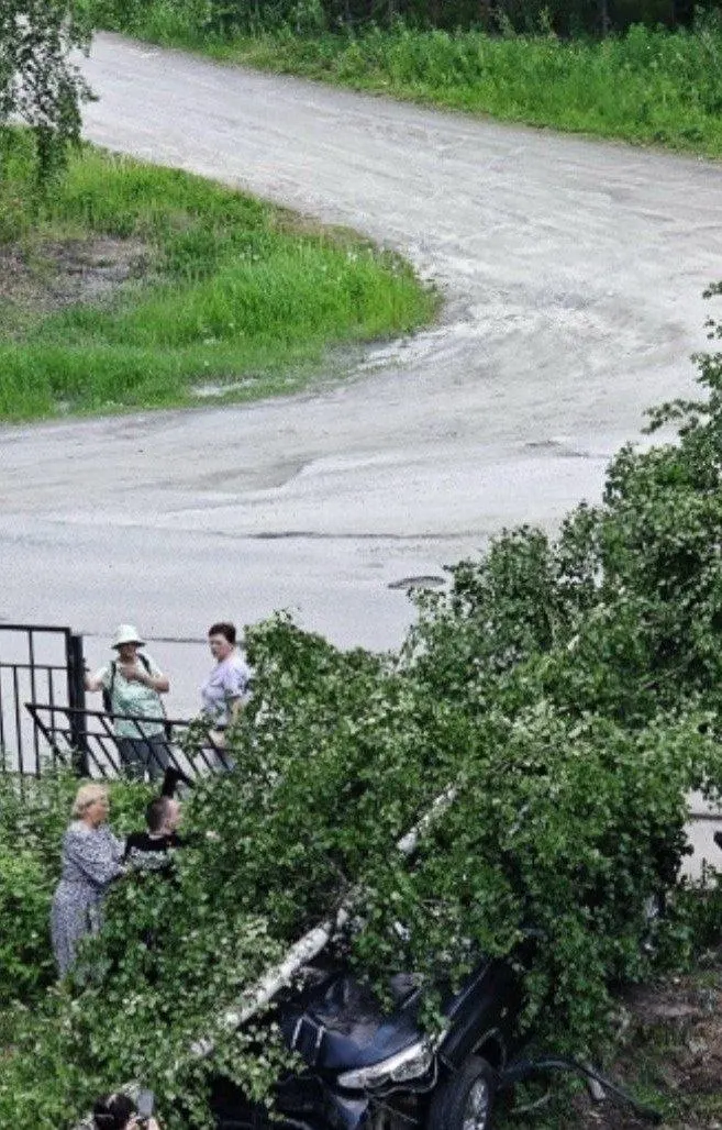 На территории больницы в Медвежьегорске автомобиль снес ограждение и врезался в берёзу после того, как водителю стало плохо за руле. Очевидцы сообщают, что инцидент произошёл вечером 14 июня; сведения о состоянии пострадавшего уточняются.