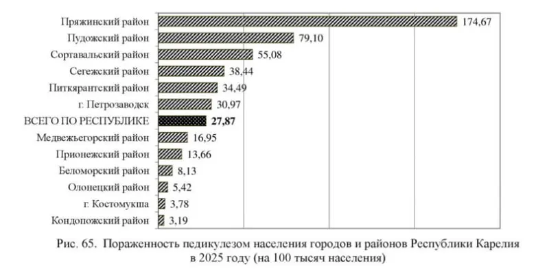 В регионе зарегистрировано 2 314 случаев паразитарных инфекций — 92,6% заболевших составляют дети. Чаще всего выявляют лямблиоз, энтеробиоз и аскаридоз; вспышки отмечены в нескольких районах и Петрозаводске.