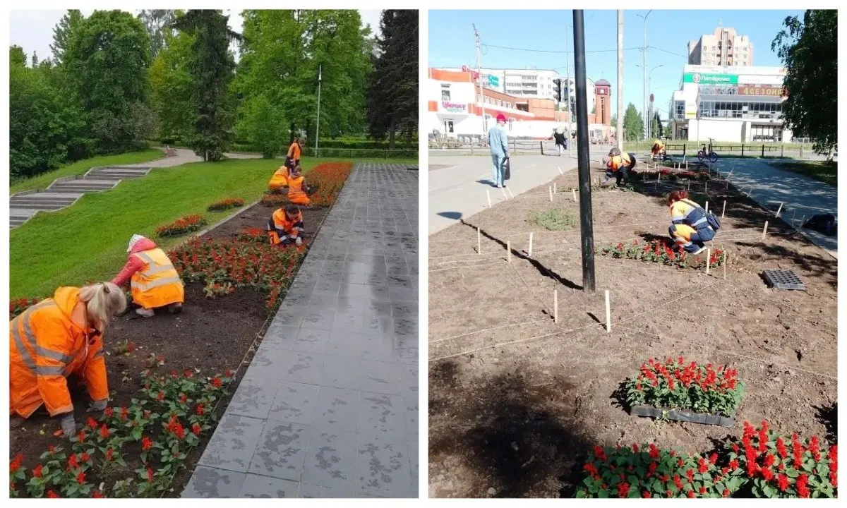 В&nbsp;Петрозаводске высадят 50&nbsp;тысяч цветов
