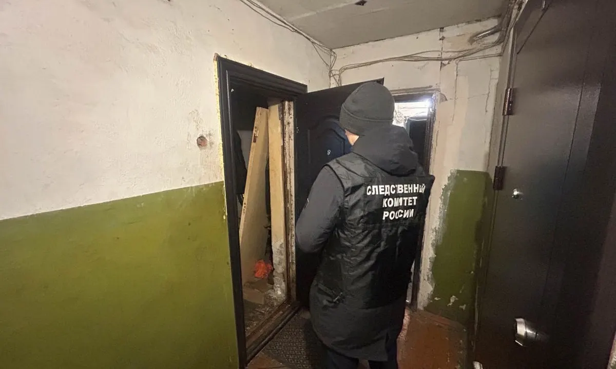 В начале апреля на улице Зайцева между сожителями произошла ссора: женщина ударила мужчину ножом в спину. Пострадавший скончался на месте, подозреваемая дала признательные показания и находится в СИЗО.