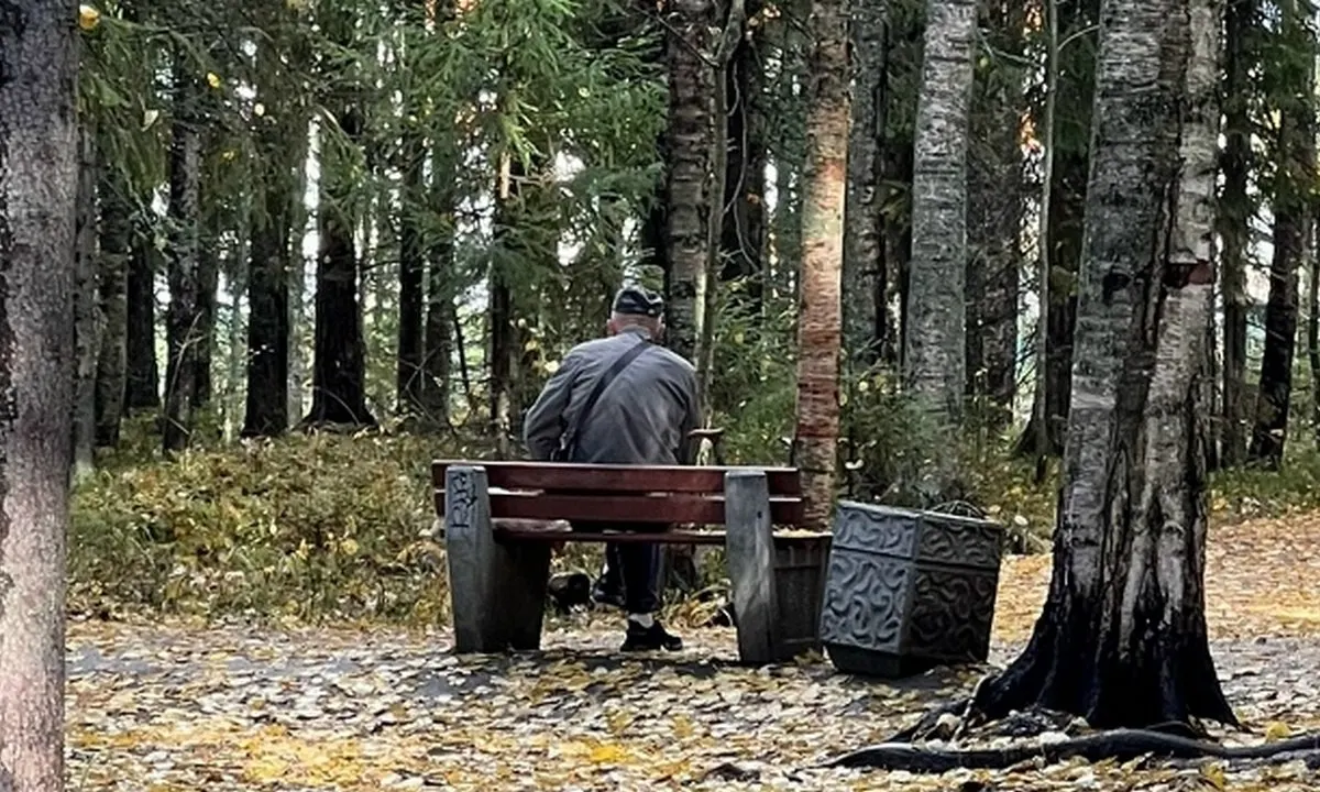 59‑летний житель Сегежского района перевёл родственнику и мошенникам в общей сложности 1 290 000 рублей, пытаясь заработать на «биржевых» вложениях; при попытке вывести средства деньги исчезли, потерпевшие обратились в полицию.