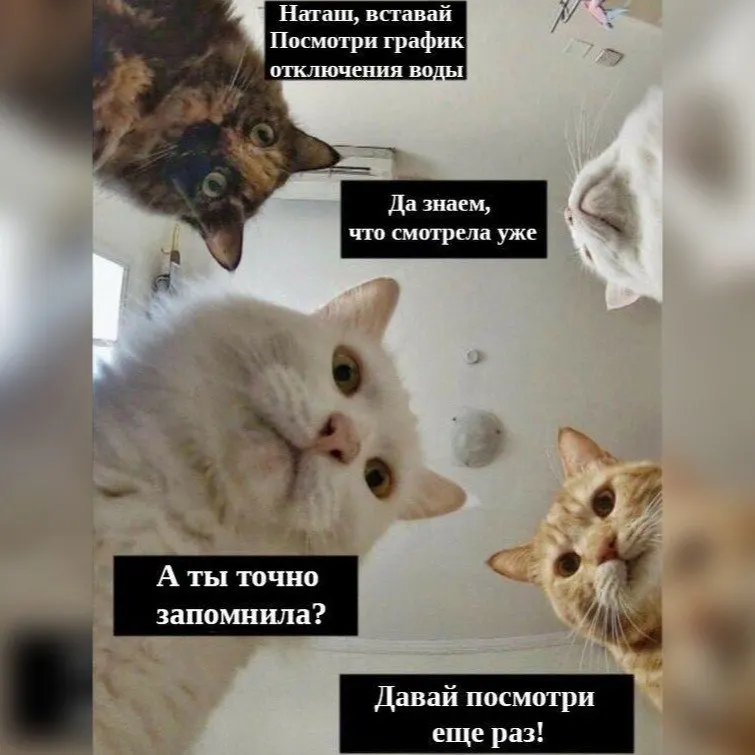 Отключение горячей воды продлится 15 суток и затронет ряд районов города — публикуем перечень затронутых территорий.