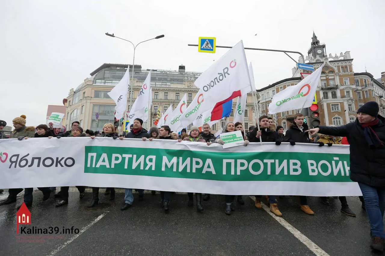 После регистрации федерального списка партии эксперты считают, что власти могли разрешить участие, чтобы канализовать протестные настроения и не допустить более опасных форм выражения недовольства.