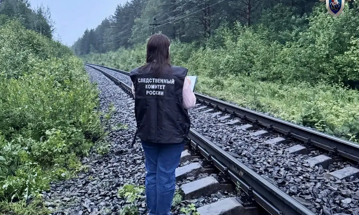 5 июля вечером в районе посёлка Чална Пряжинского района поезд насмерть сбил мужчину; Следственный комитет Карелии проводит проверку.
