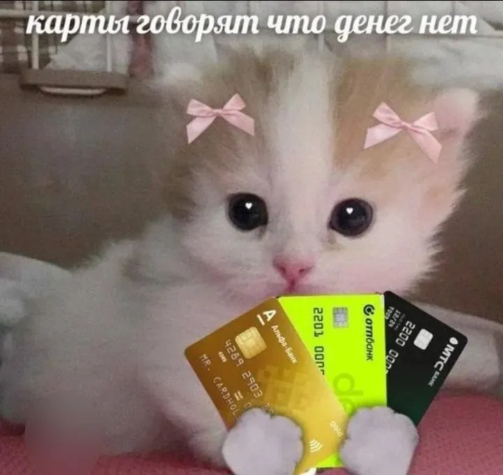 По результатам опроса молодые специалисты 18–24 лет в Карелии называют достойным стартовым доходом порядка 83 тыс. руб., тогда как средний показатель по Карелии и Северо‑Западу — около 104,9 тыс. руб.; названы и наиболее популярные диапазоны зарплат.