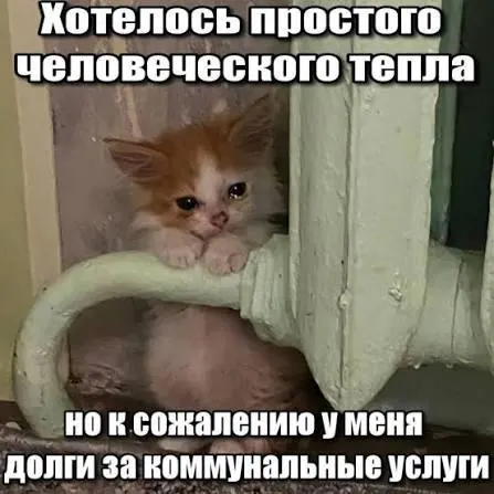 Суд подтвердил, что по требованиям о взносах на капитальный ремонт действует трёхлетний срок исковой давности, поэтому операторы не вправе отражать в платежках задолженности старше этого срока.