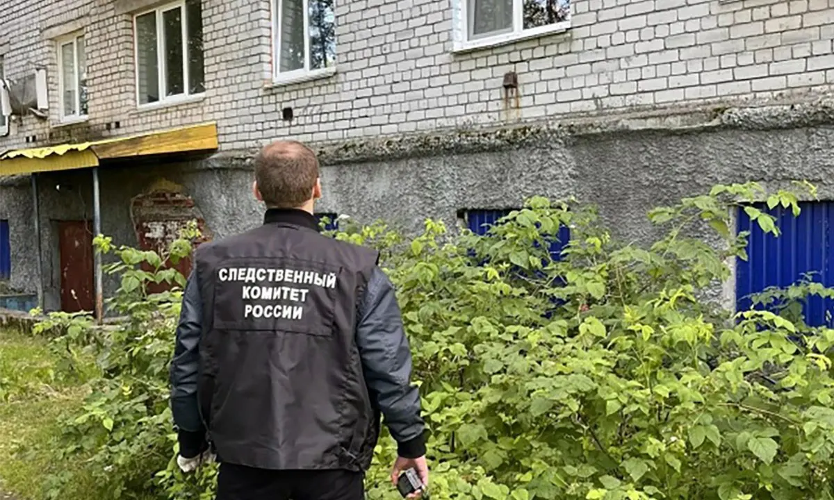 Утром в поселке Надвоицы 69‑летний мужчина выпал из окна своей квартиры; следственные органы проводят проверку, назначена судебно-медицинская экспертиза.