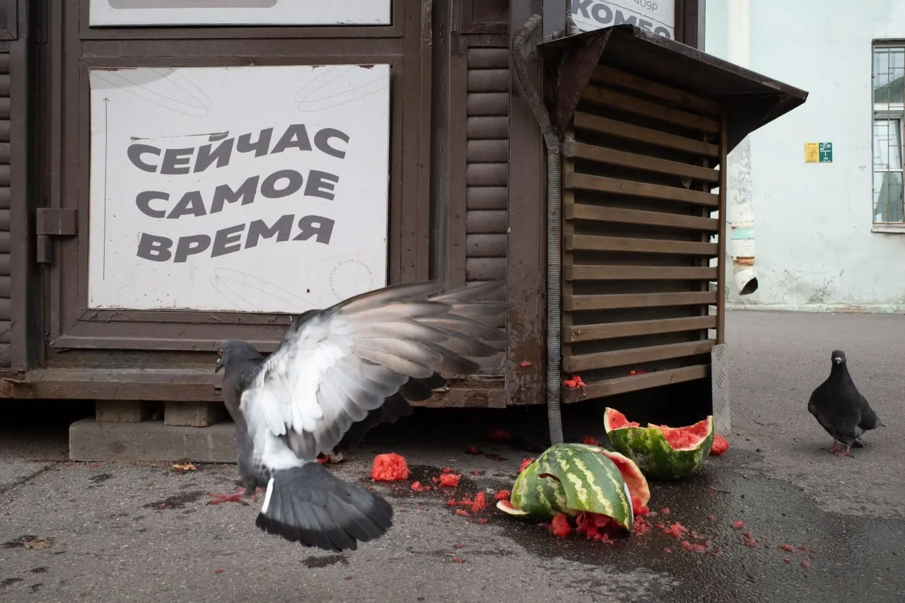 Штраф за антивоенное высказывание священника, панихида в День памяти и кадровые перестановки — обзор событий в Петербурге, регионе и по стране.