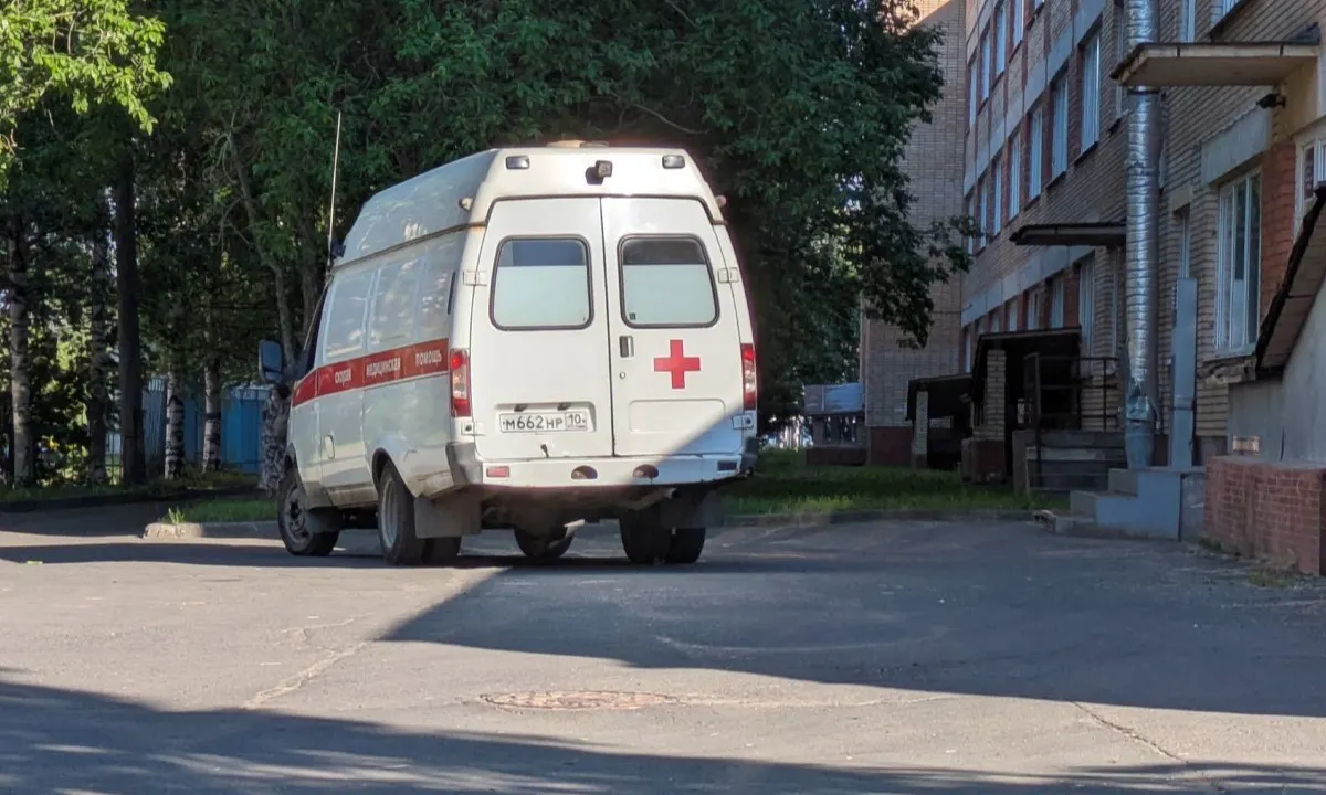 Пострадавшему ребенку взыскали 280 тысяч рублей за физический и нравственный вред. Решение принял суд по заявлению матери пострадавшего.