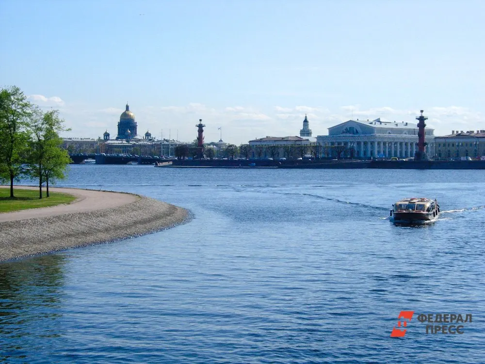 МЧС предупреждает о неблагоприятной погоде: грозы, порывы ветра до 15 м/с и повышение уровня воды в Неве; предупреждения распространяются на соседние регионы.