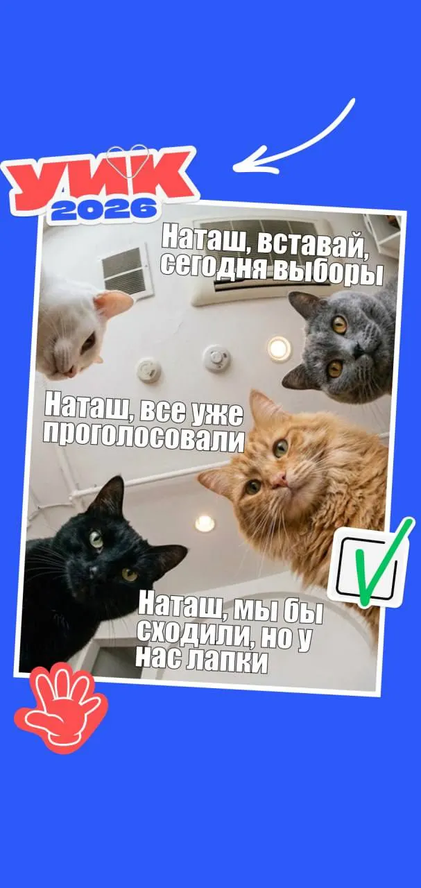 Голосование на всех уровнях пройдёт 18–20 сентября 2026 года. Право голоса имеют граждане РФ от 18 лет. Не забудьте паспорт — водительские права не подойдут. И немного тематических мемов для настроения.