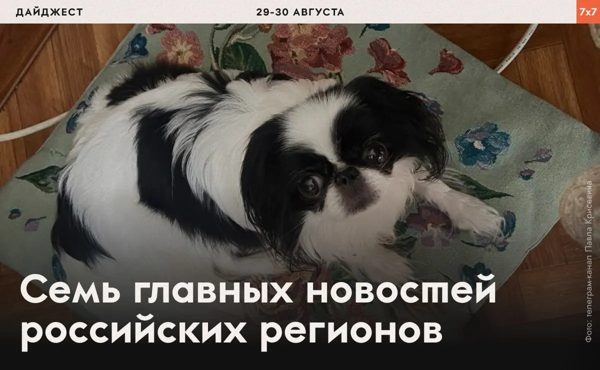 Раздел о событиях в нескольких регионах: задержания активистов, давление на свободу слова и региональные решения по благоустройству и выборам.