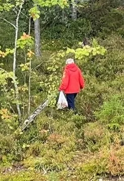В регионе появились объявления о продаже координат мест сбора грибов и ягод: продавец обещает список сотен точек в радиусе до 300 км от Петрозаводска за одну небольшую сумму.