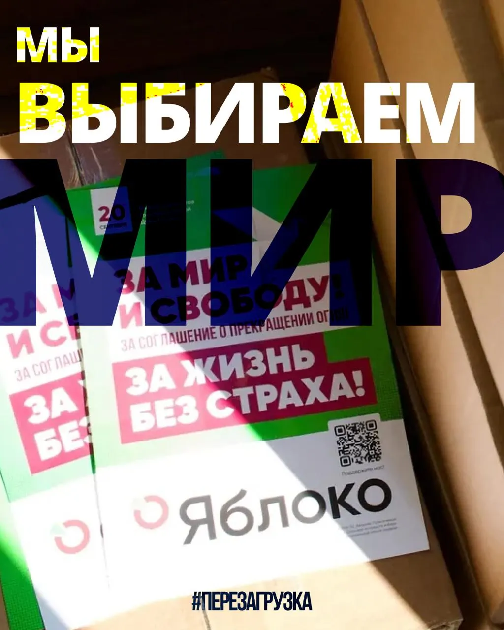 53 региона участвуют в кампании 135 кандидатов от Яблока; кампания набирает обороты по всей стране.