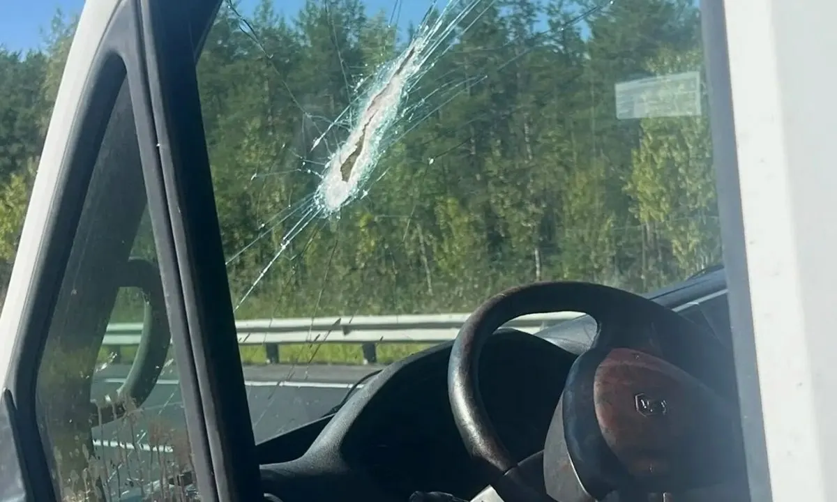 Пострадавшему водителю была проведена многочасовая операция по восстановлению лица после удара деталями от самосвала; состояние остаётся тяжёлым и он находится в реанимации.