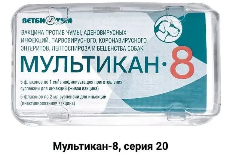 Хозяева собак требуют прозрачного расследования случаев гибели после вакцинации вакциной «Мультикан-8», утверждая, что анализы затягиваются и руководство молчит.