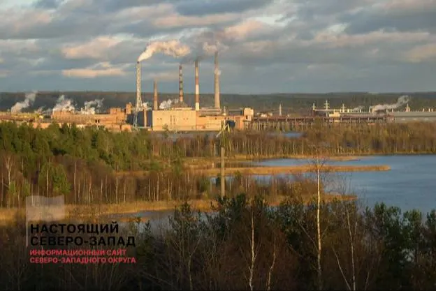 В начале 2026 года 54,5% карельских организаций были убыточны; прибыль получили 45,5% предприятий. За январь–июнь карельские компании заработали 10,3 млрд рублей прибыли и 10,4 млрд рублей убытков, итог — минус 132,5 млн рублей.