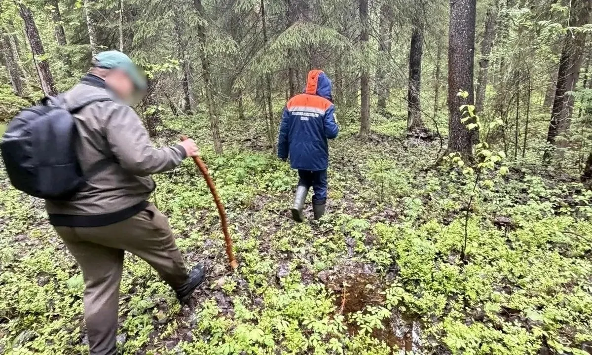 Спасатели нашли заблудившегося туриста из Ростовской области; он ушёл с турбазы в Пряжинском районе и был обнаружен в лесу, медицинская помощь не потребовалась.