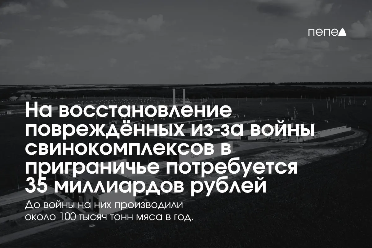 Восстановление свинокомплексов в&nbsp;приграничных Белгородской, Курской и&nbsp;Брянской областях оценивается в&nbsp;35&nbsp;млрд рублей