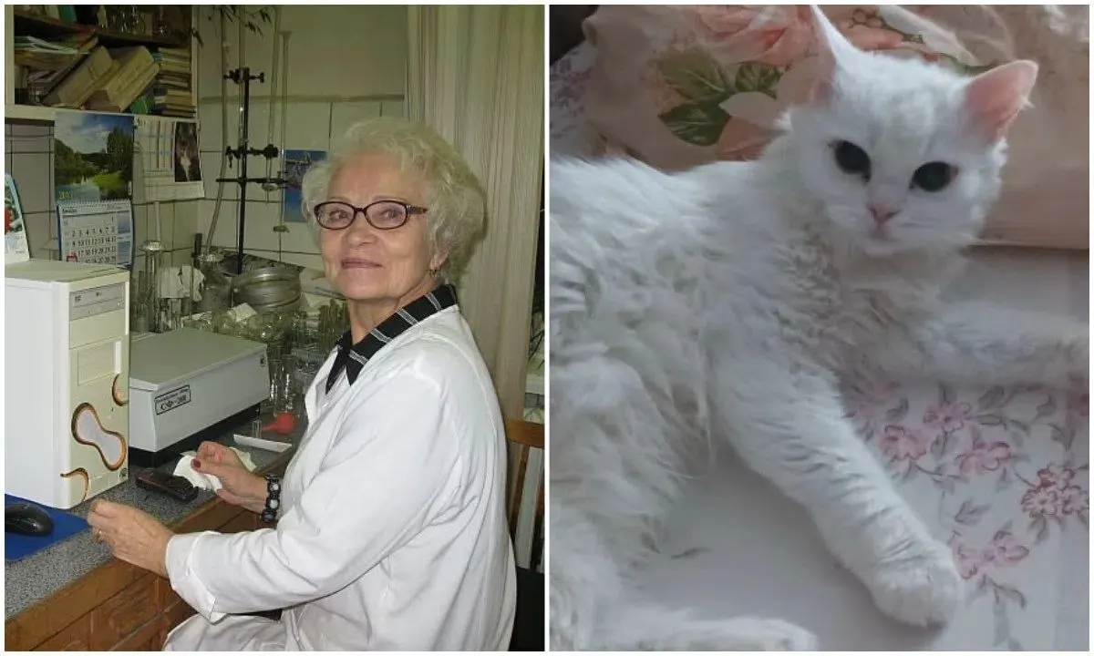 Погибший химик Мария Коржова работала в Карельском научном центре; кошка по кличке Куся ищет новый дом.