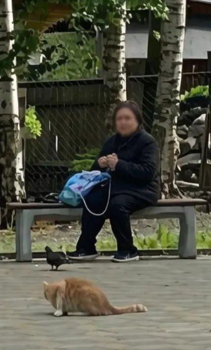 61-летняя пенсионерка-курьер действовала по указаниям преступников, объезжая города и забирая миллионы.
