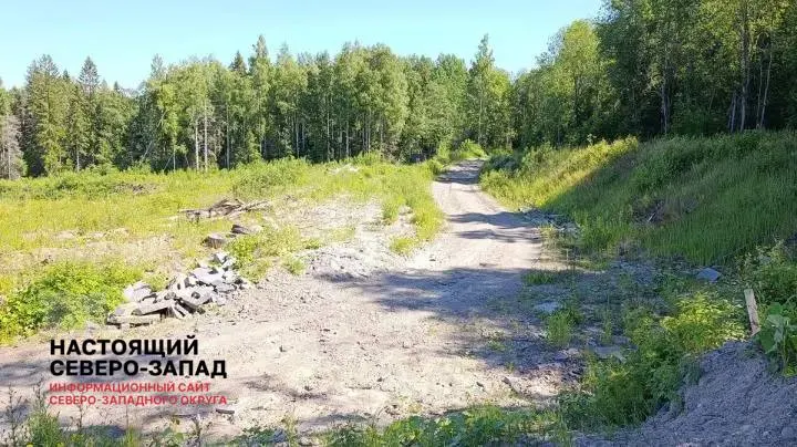 76 семей в регионе борются за оформление участков стоимостью 33 млн рублей; суды встали на их сторону, однако конфликт продолжается.